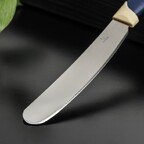 Нож Доляна «Страйп» для масла, лезвие 7,5 см